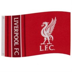Liverpool flag  Liverbird 